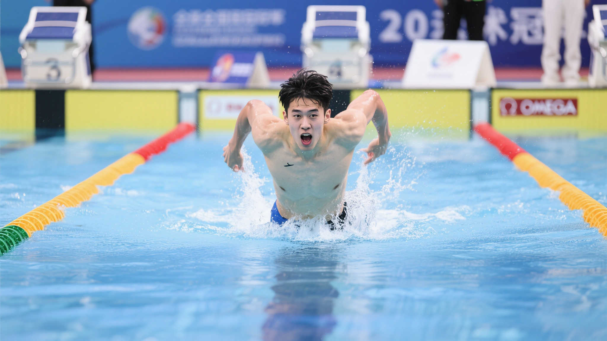 这不仅是因 这不仅是因